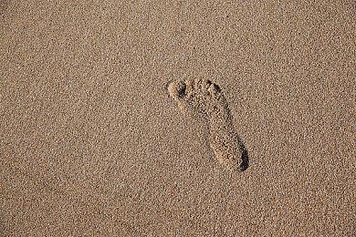 《真三国无双８ 帝国》今日上线steam 游戏开启预购